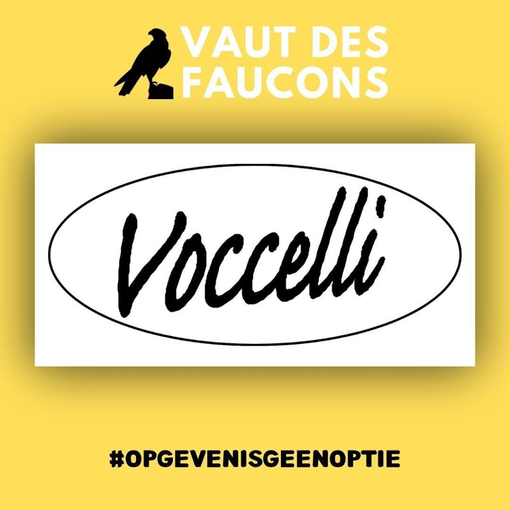 Instagram post from teamvautdesfaucons. This post is in position 4.